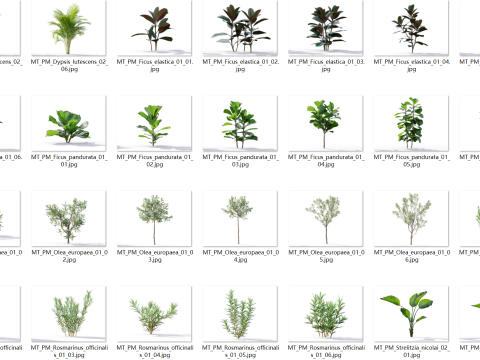 87 potted plants Model 3D