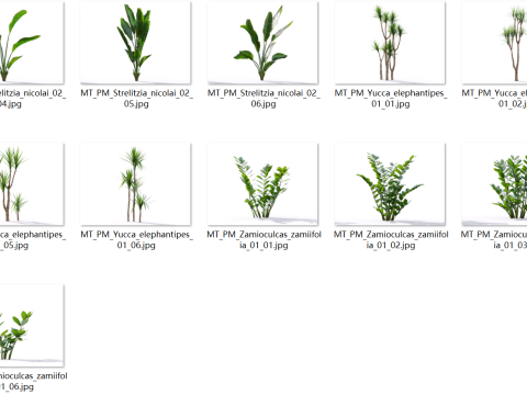 87 potted plants Model 3D