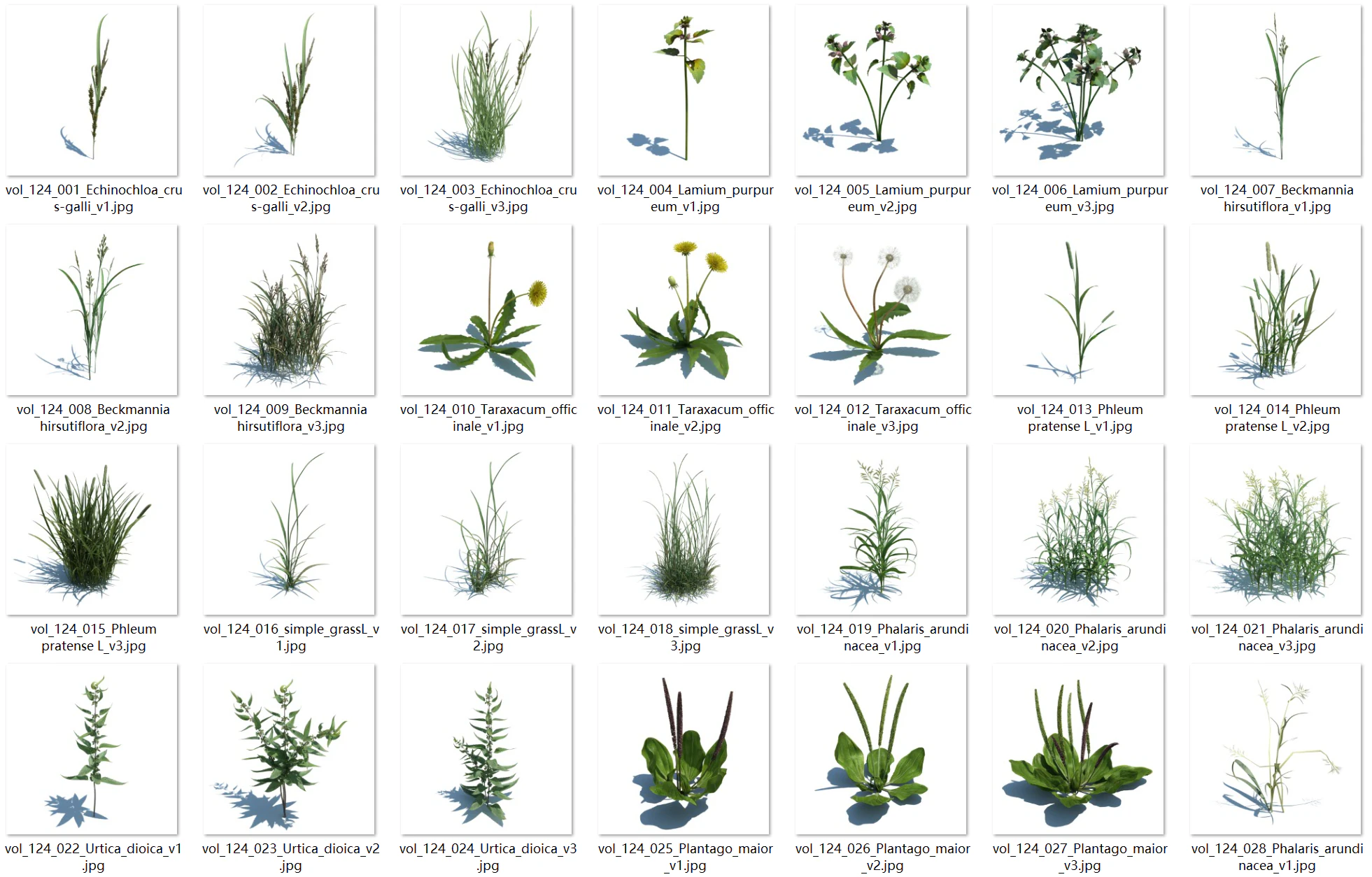 148 wildflowers and wild grasses 3D Model .c4d .max .obj .3ds .fbx .stl .blend 