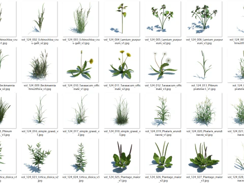 148 wildflowers and wild grasses 3D Model