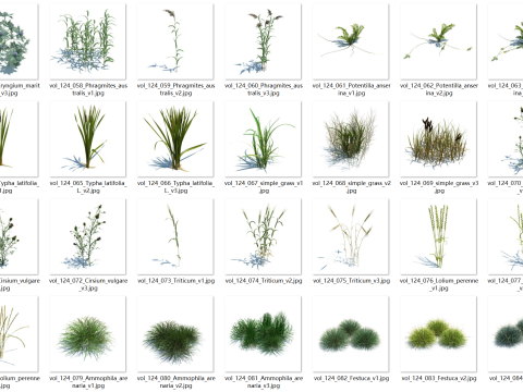 148 wildflowers and wild grasses Model 3D