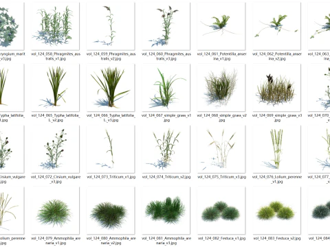 148 wildflowers and wild grasses 3D Model