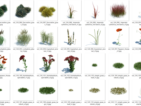 148 wildflowers and wild grasses Model 3D