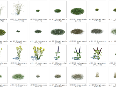 148 wildflowers and wild grasses Model 3D