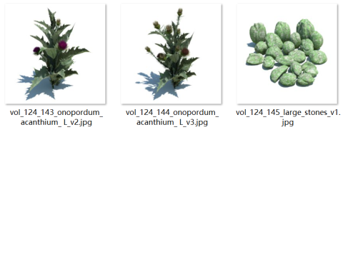 148 wildflowers and wild grasses Model 3D