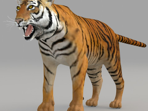Realistic wildlife 3D मॉडल
