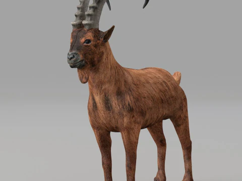 Realistic wildlife 3D Model