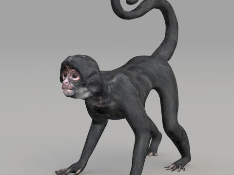 Realistic wildlife 3D Model