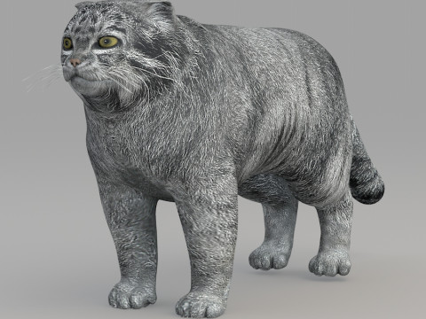 Realistic wildlife Model 3D