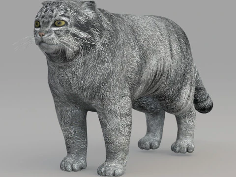 Realistic wildlife 3D Model