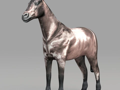 Realistic wildlife 3D Model