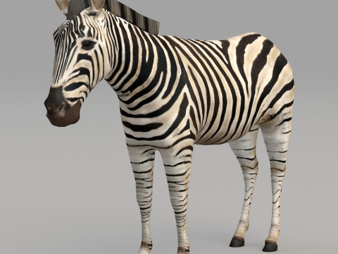 Realistic wildlife Model 3D