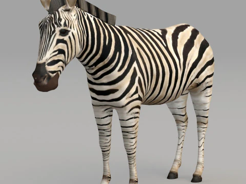 Realistic wildlife 3D Model