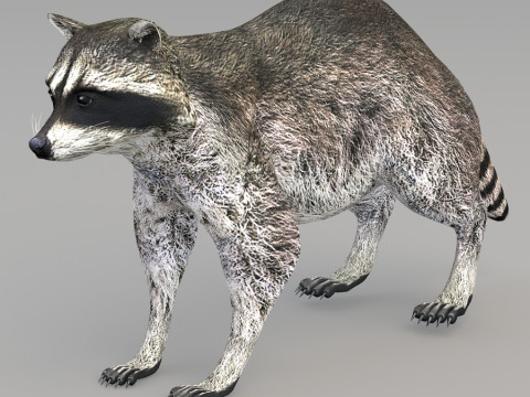 Realistic wildlife Model 3D