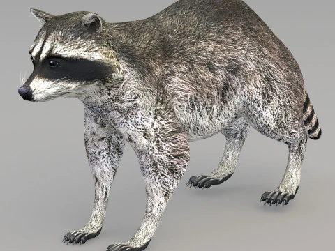 Realistic wildlife 3D Model