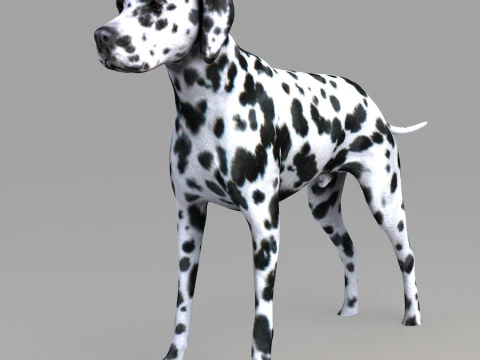 Realistic wildlife 3D Model
