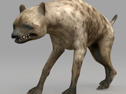 Realistic wildlife 3D Model