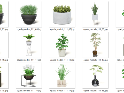 Realistic potted plant model 3D मॉडल