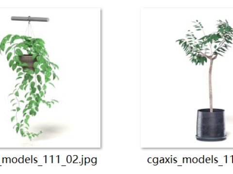 Model tanaman pot yang realistis Model 3D