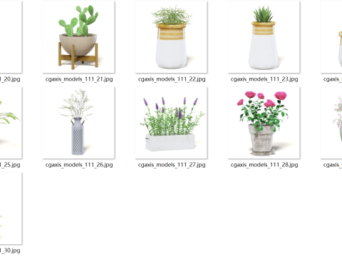 Model tanaman pot yang realistis Model 3D