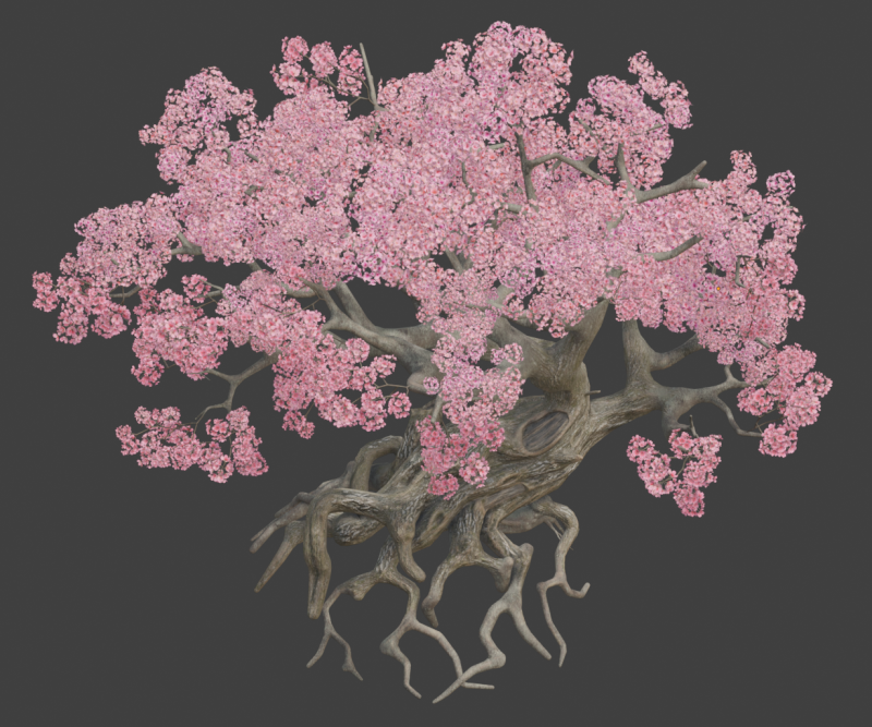 Ancient style cherry blossoms old trees 3D Model .c4d .max .obj .3ds .fbx .stl .blend