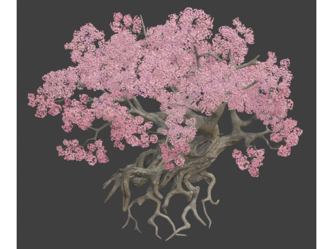 Ancient style cherry blossoms old trees 3D 模型