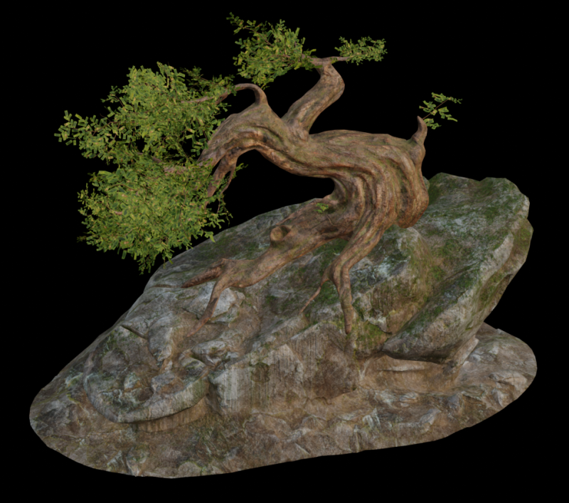 Fantasy Rock Ancient Tree 3D Model .c4d .max .obj .3ds .fbx .stl .blend 