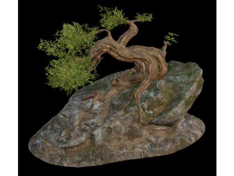 Fantasy Rock Ancient Tree 3D Модель