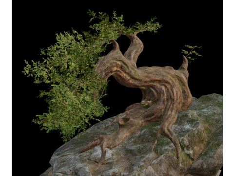 Fantasy Rock Ancient Tree 3D Model
