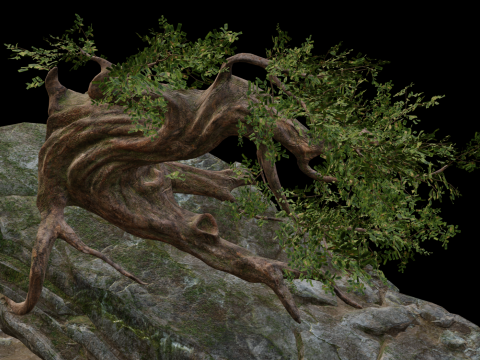 Fantasy Rock Ancient Tree 3D Model