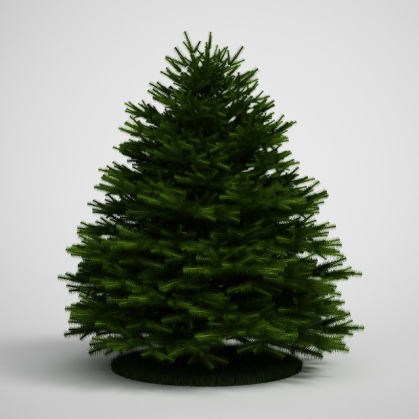 20 Modello di albero Modello 3D .c4d .max .obj .3ds .fbx .stl .blend 