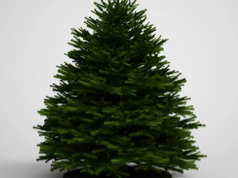 20 树模型 3D 模型