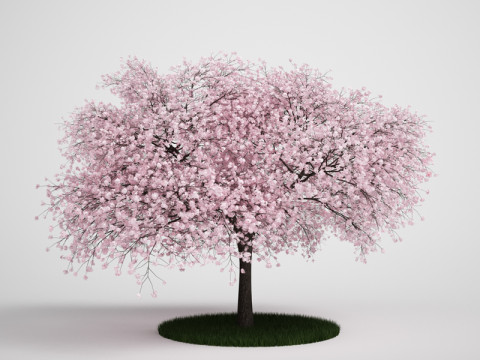 20 Modello di albero Modello 3D