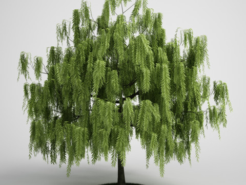 20 Modello di albero Modello 3D