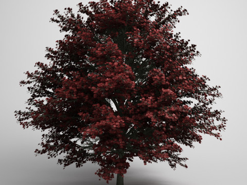 20 Modello di albero Modello 3D