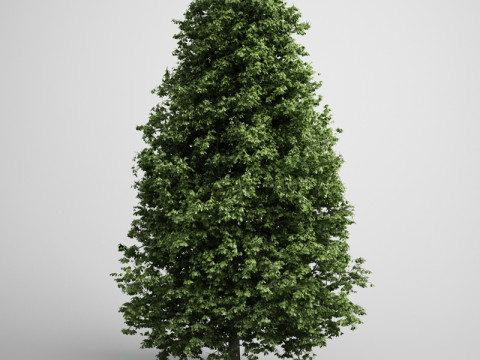 20 Modello di albero Modello 3D