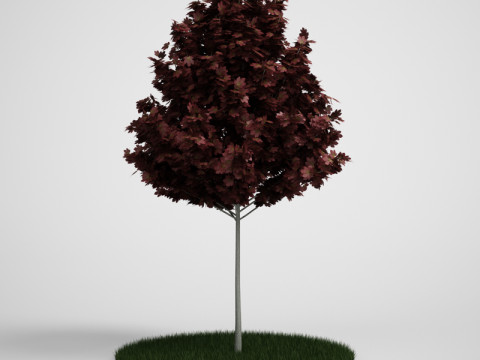 20 Modello di albero Modello 3D
