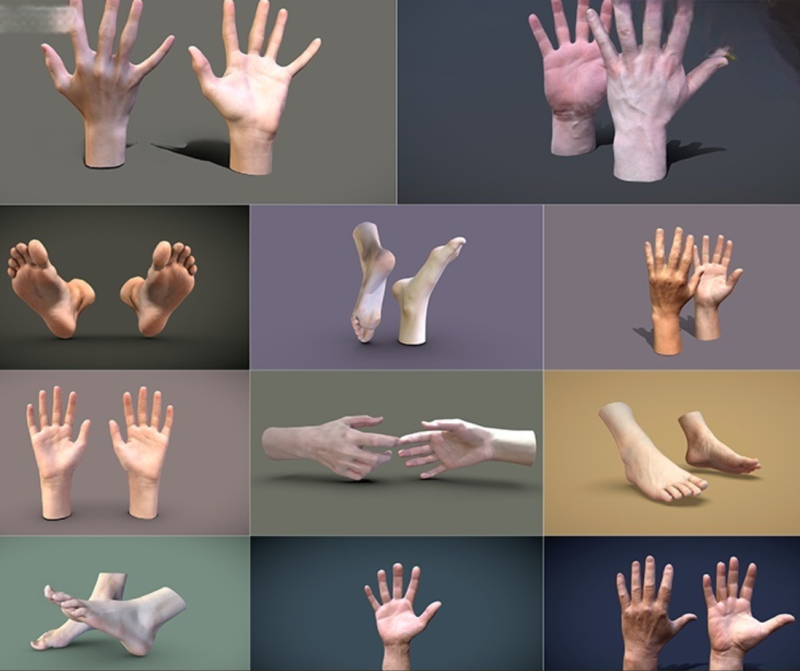 Чоловічі та жіночі моделі рук і ніг 3D Модель .c4d .max .obj .3ds .fbx .stl .blend 
