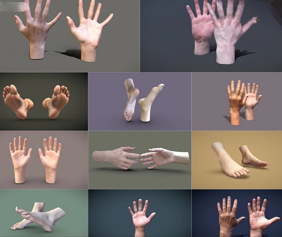 Male and female hand and foot models 3D Model .c4d .max .obj .3ds .fbx .stl .blend 