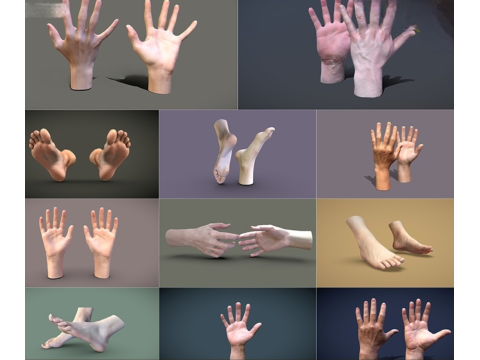 Male and female hand and foot models 3D मॉडल