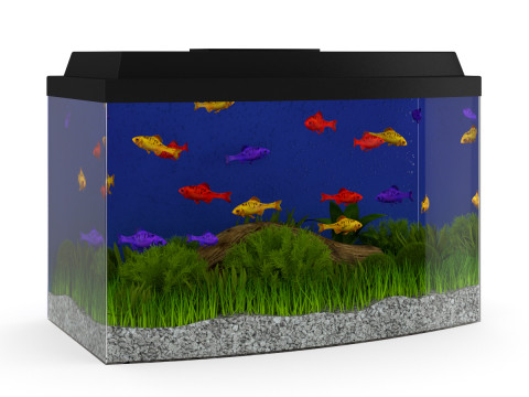 15 fish tank models 3Dモデル
