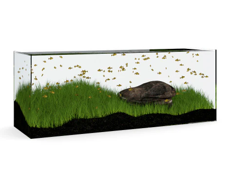 15 fish tank models 3D Model