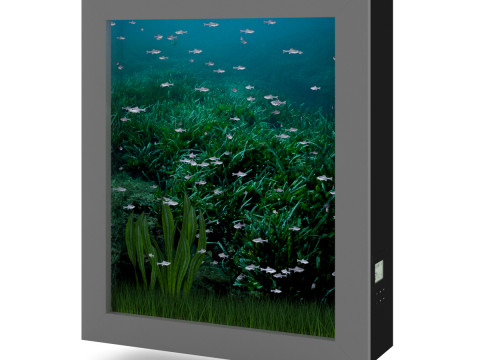 15 fish tank models Modelo 3D