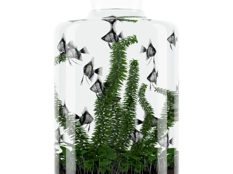 15 fish tank models 3D Model