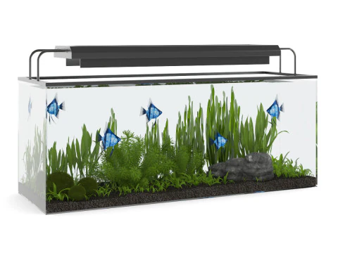 15 fish tank models 3D Model
