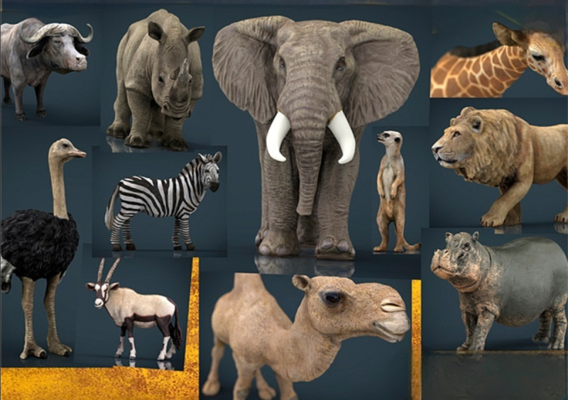 11 African animals 3D Model .c4d .max .obj .3ds .fbx .stl .blend
