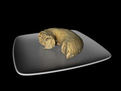 Food Dim sum collection Model 3D
