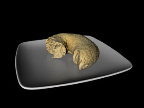 Food Dim sum collection 3D Model