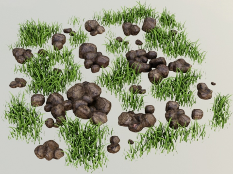 Grassland rock model Modèle 3D