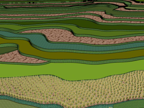 Terraced fields 3D Model